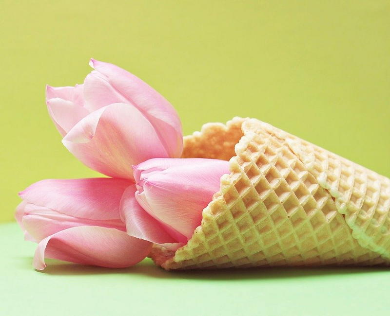 Our Best Tips for Adjusting to the Summer Time Change