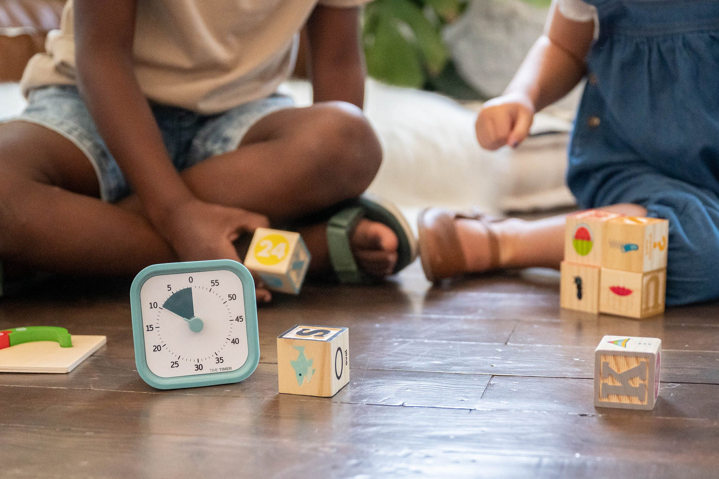 Time Timer® MOD - Home Edition 60 Minutes
